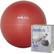 Μπάλα Γυμναστικής Gymball 75cm AMILA Γκρι Κωδ. 95867