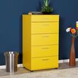 ΣΥΡΤΑΡΙΕΡΑ ΜΕ 5 ΣΥΡΤΑΡΙΑ ΚΙΤΡΙΝΗ (SIDE)