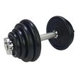 Tunturi Σετ αλτήρας 15kg με βάρη 30mm
