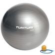 Tunturi Μπάλα Γυμναστικής 55cm Ασημί
