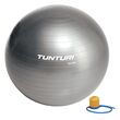 Tunturi Μπάλα Γυμναστικής 65cm Ασημί