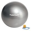 Tunturi Μπάλα Γυμναστικής 90cm Ασημί