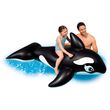 Whale Whale