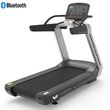 Διάδρομος Pegasus® V9 5.0ΗΡ AC Ρ-3963