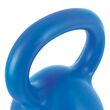 AMILA Kettlebell Plastic Series 12Kg 90486