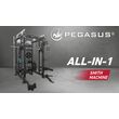 Pegasus® PG-2000 All-In-One Trainer 327200002
