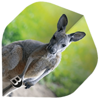 ΦΤΕΡΑ BULL'S DART, Motex Flights, A-Std, Koala