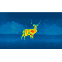 ΘΕΡΜΙΚΗ ΑΠΕΙΚΟΝΙΣΗ PULSAR AXION 2 XG35