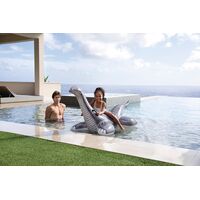 Brontosaurus Ride-On 57584