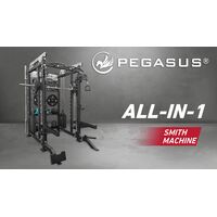 Pegasus® PG-2000 All-In-One Trainer 327200002