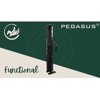 Functional Trainer Τοίχου Pegasus® T-SC01 327201931