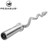 Ολυμπιακή Στραβόμπαρα 1200mm*28mm (9.7kg) 390318138