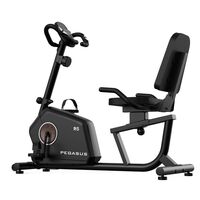 Pegasus® Καθιστό Ποδήλατο R5 341210185