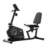 Pegasus® Καθιστό Ποδήλατο R5 341210185