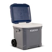 IGLOO MAXCOLD LATITUDE 62 ROLLER