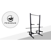 Half Rack Pegasus®  HR-G1 Λ-5611