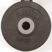 Δίσκος με Επένδυση Λάστιχου 2,50Kg AMILA Κωδ. 44472