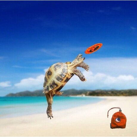 Pocket Frisbee Ticket to the Moon Pocket Frisbee Ticket to the Moon