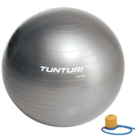 Tunturi Μπάλα Γυμναστικής 55cm Ασημί