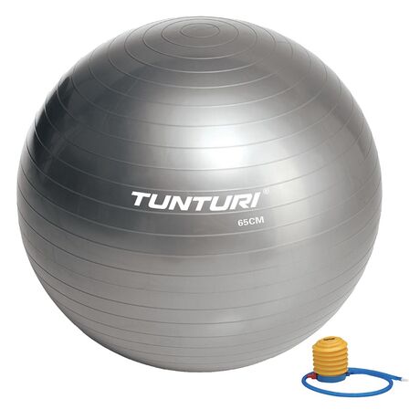 Tunturi Μπάλα Γυμναστικής 65cm Ασημί
