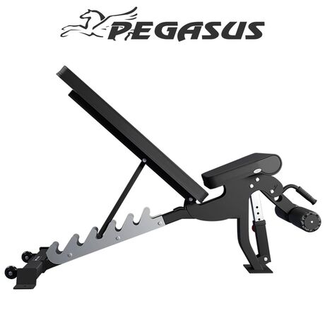 Pegasus® Ρυθμιζόμενος Πολυπάγκος OK9101C Λ-681