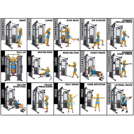 Pegasus® Functional Trainer Pro
