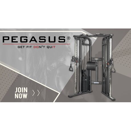 Pegasus® Functional Trainer Pro