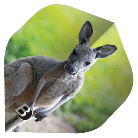 ΦΤΕΡΑ BULL'S DART, Motex Flights, A-Std, Koala