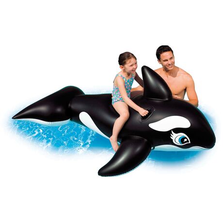 Whale Whale