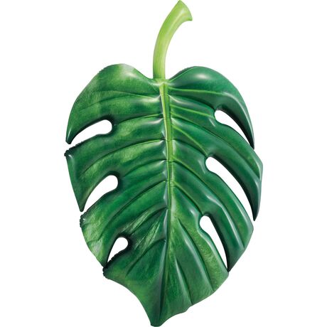 Palm Leaf Mat Palm Leaf Mat