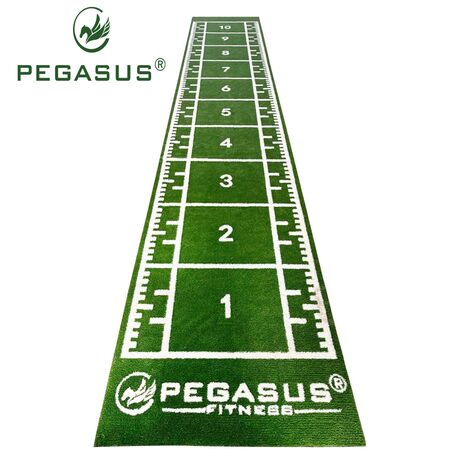Pegasus® Συνθετικός Χλοοτάπητας 2x11m (3159) 321031585