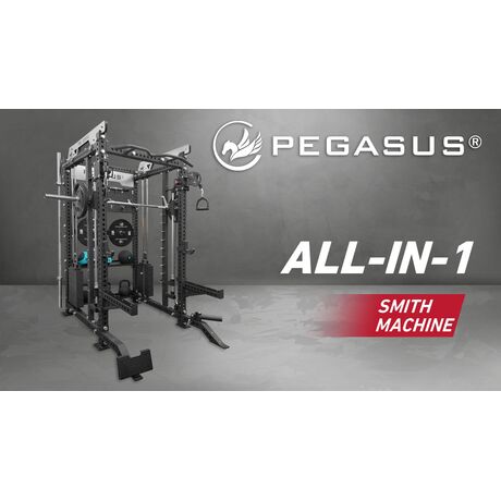 Pegasus® PG-2000 All-In-One Trainer 327200002