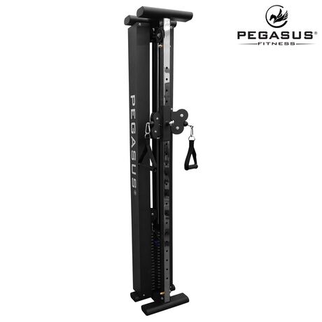 Functional Trainer Τοίχου Pegasus® T-SC01 Λ-5335