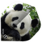 ΦΤΕΡΑ BULL'S DART, 5-Star Flights, A-Std, Panda