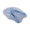 VAQUITA ΠΤΕΡΥΓΙΑ ΧΕΡΙΩΝ ΚΟΛΥΜΒΗΣΗΣ LIGHT BLUE