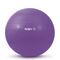 Μπάλα Γυμναστικής 55 cm Μωβ Bulk 48409
